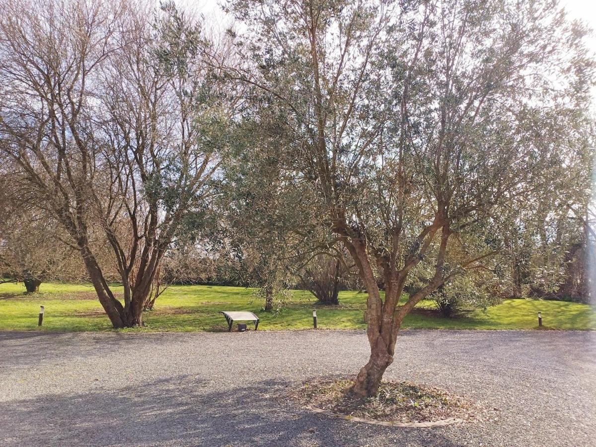Apartment 4 Minutes From Sainte-mere-eglise - Independent On First Floor Of Big House With Garden *